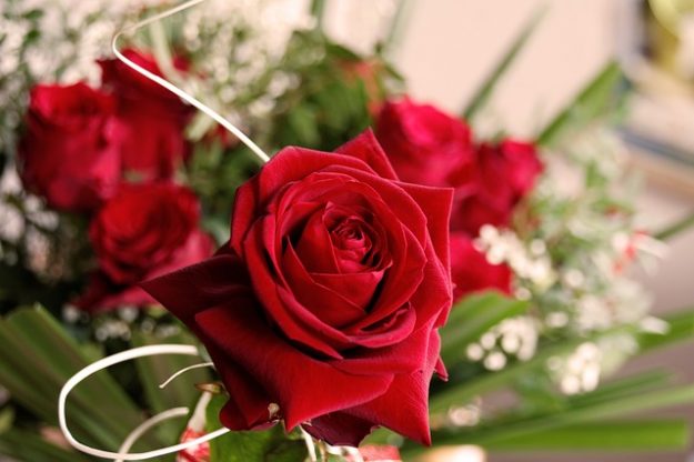 ASSOFIORISTI_san valentino rose fiori