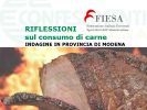 CS83_FIESA_CARNE
