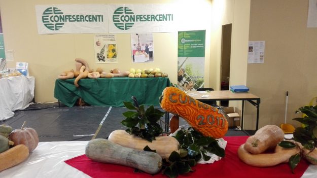 Curiosa in fiera – Fiesa Confesercenti