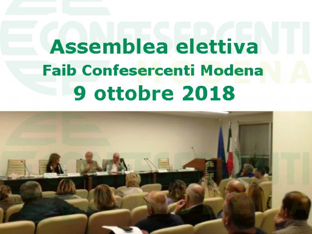 c94_faib assemblea elettiva