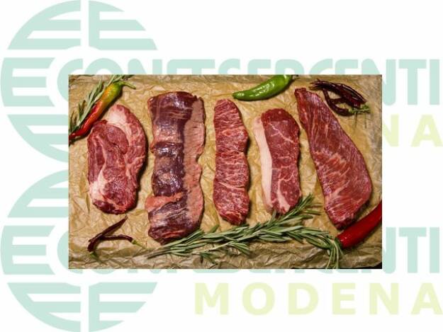 carne_assomacellai FIESA Assomacellai - Corso sulla valorizzazione delle carni