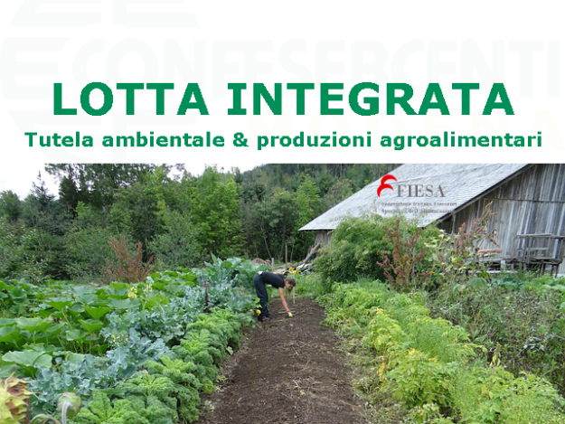 cs71_FIESA_lotta integrata
