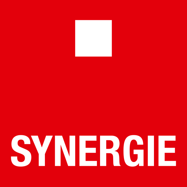 convenzione con Synergie Italia